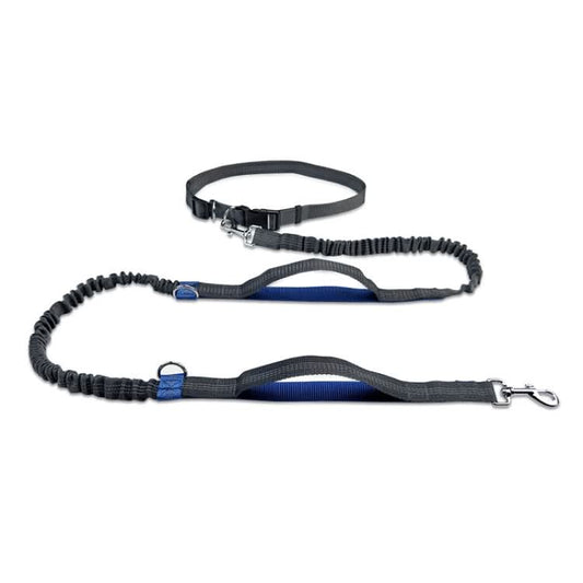 Running Reflective Double Telescopic Dog Rope Dog Chain Traction - Reluova