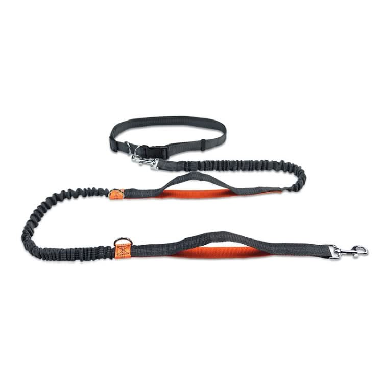 Running Reflective Double Telescopic Dog Rope Dog Chain Traction - Reluova