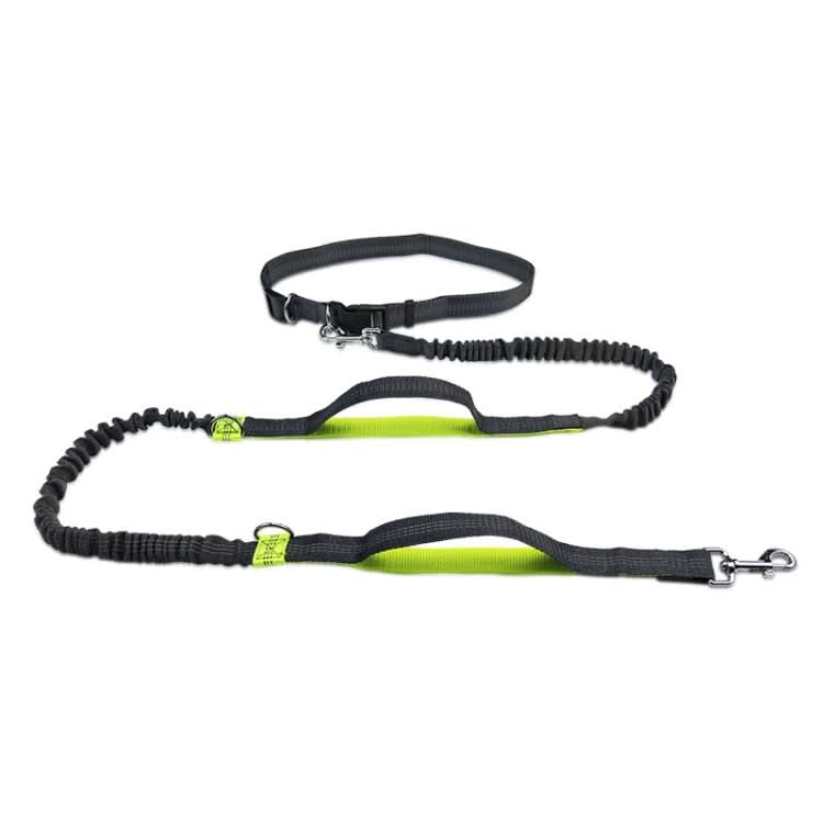 Running Reflective Double Telescopic Dog Rope Dog Chain Traction - Reluova