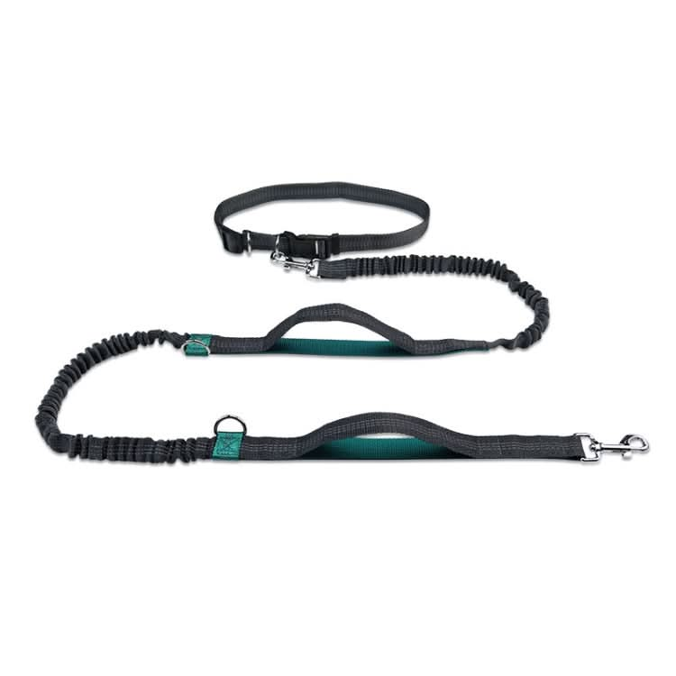 Running Reflective Double Telescopic Dog Rope Dog Chain Traction - Reluova