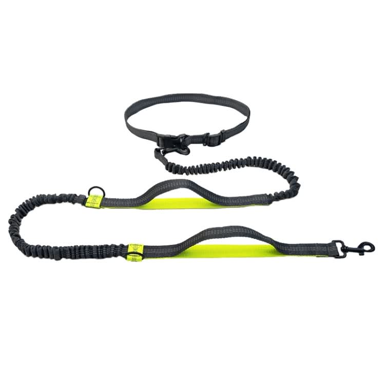 Running Reflective Double Telescopic Dog Rope Dog Chain Traction - Reluova