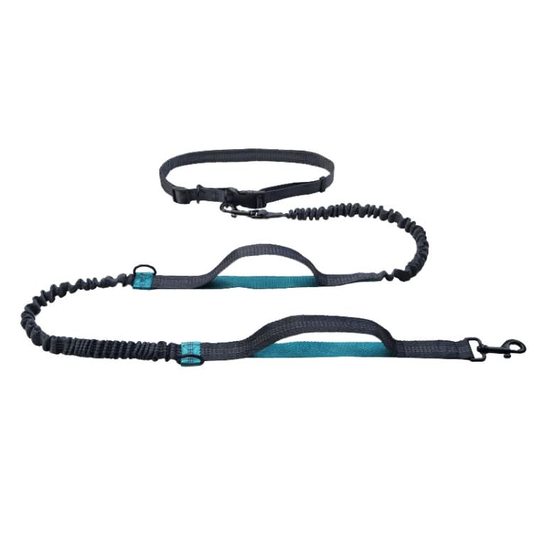 Running Reflective Double Telescopic Dog Rope Dog Chain Traction - Reluova