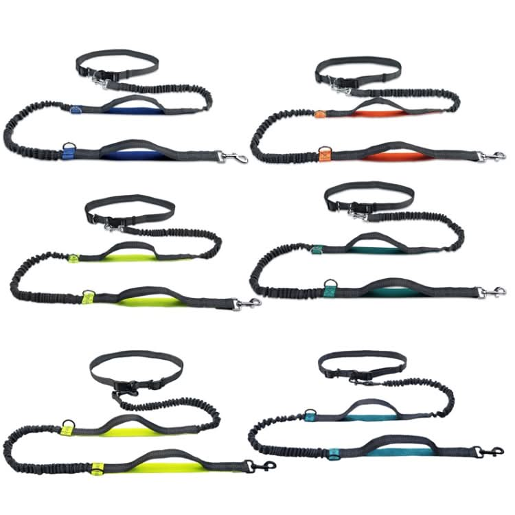 Running Reflective Double Telescopic Dog Rope Dog Chain Traction - Reluova