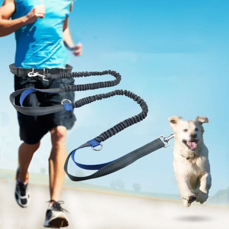 Running Reflective Double Telescopic Dog Rope Dog Chain Traction - Reluova