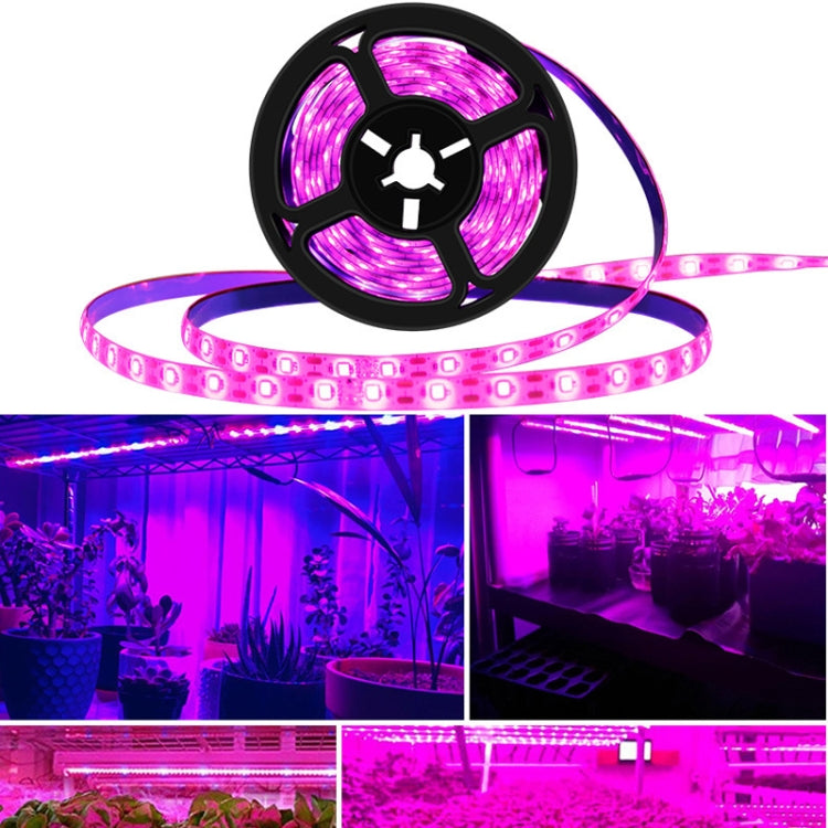 Plant Light Strip LED Planting Filling Light USB Indoor 2835SMD Plant Growth Lamp My Store