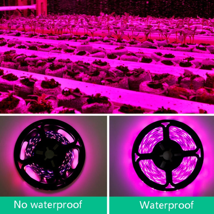 LED Light Strip Planting Filling Light Full Spectroscopy USB Touch Dimming Plant Lamp My Store