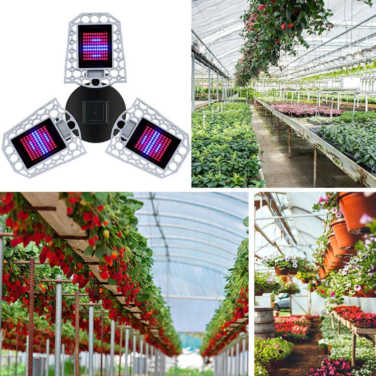 LED Plant Lamp Full Spectroscopy Red And Blue Fill Light Plant Growth Lamp My Store