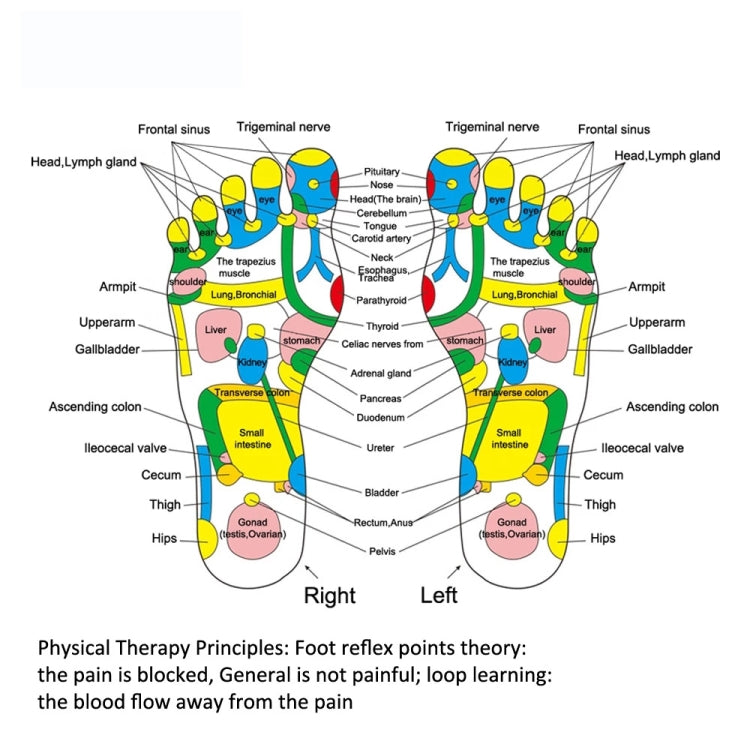 Imitation Stone Foot Massage Pad Foot And Leg Pain Relief Physiotherapy Health Acupressure Pad Reluova