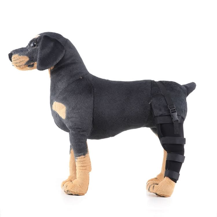 HJ19 Pet Surgery Rehabilitation Back Leg Protector Walking Aids - Reluova