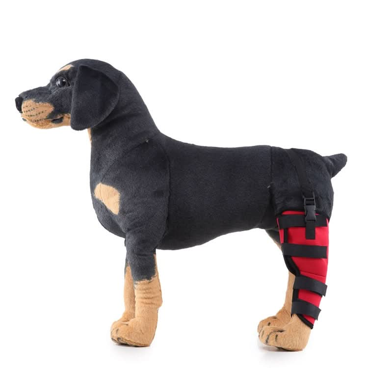 HJ19 Pet Surgery Rehabilitation Back Leg Protector Walking Aids - Reluova