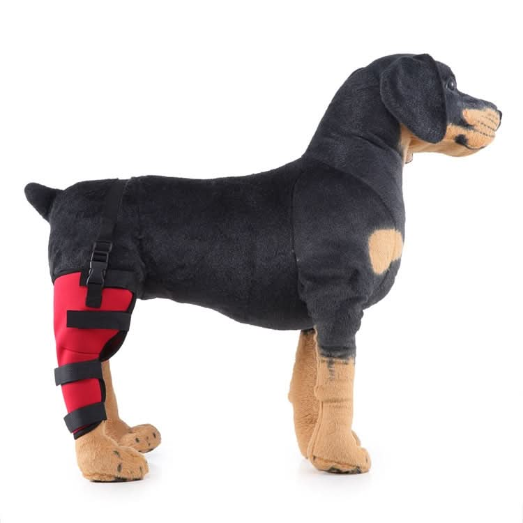 HJ19 Pet Surgery Rehabilitation Back Leg Protector Walking Aids - Reluova