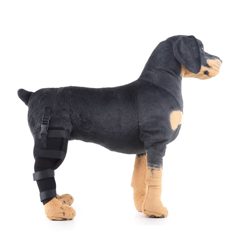 HJ19 Pet Surgery Rehabilitation Back Leg Protector Walking Aids - Reluova