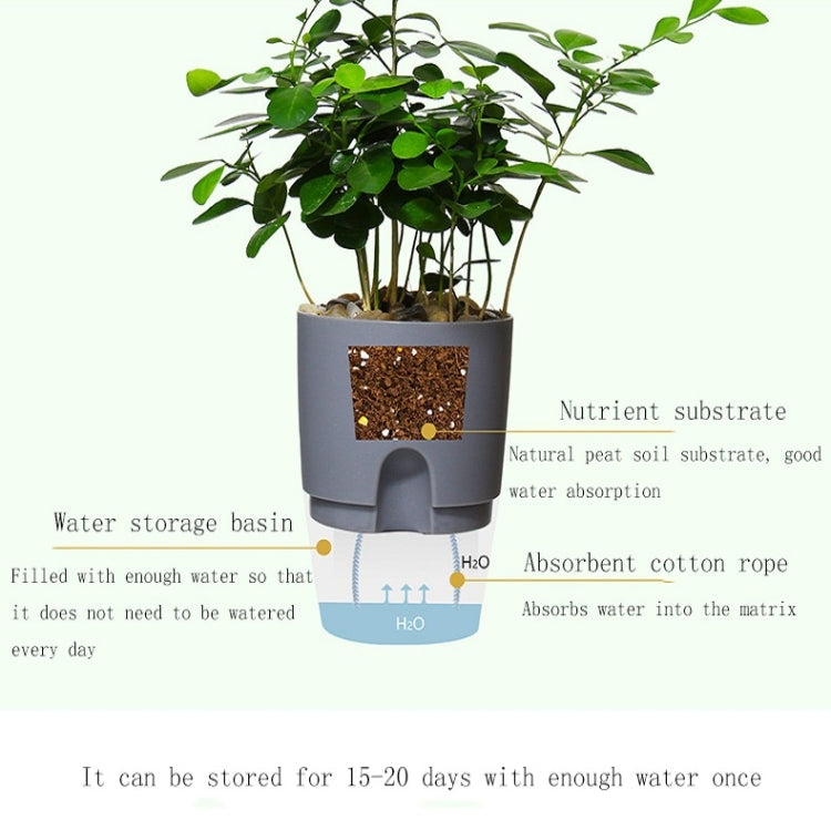 Transparent Plastic Double-Layer Water Storage Automatic Water-Absorbing Flowerpot My Store