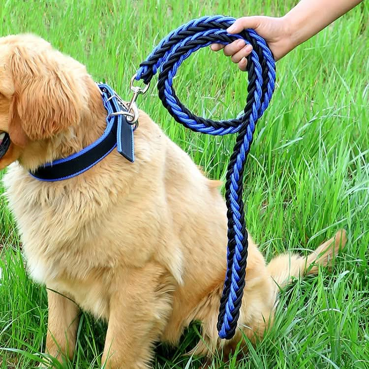 Dog Leash Braided Belt Pet Explosion-Proof Leash, Size: - Reluova