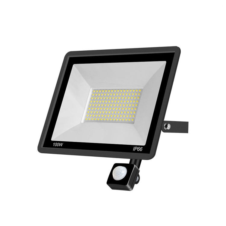 LED Spotlight Outdoor Project Light Waterproof Garden Energy-Saving Lighting Floodlight, Style: My Store