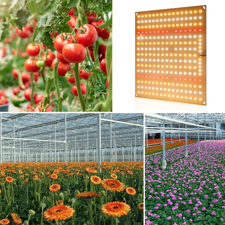 LED Plant Fill Light Full-Spectral Greenhouse Lighting Growth Light My Store