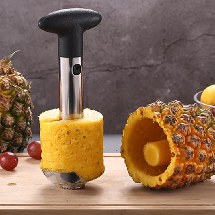 2 PCS Stainless Steel Pineapple Peeler Slicers Fruit Cutter Kitchen Tools - Reluova