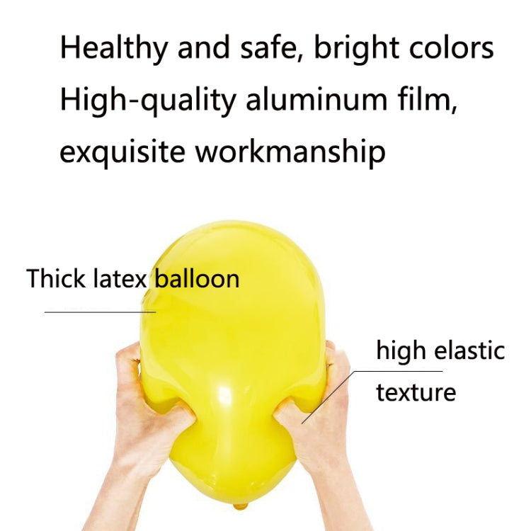 SD20205 Christmas Party Decoration Balloon Set, Style: