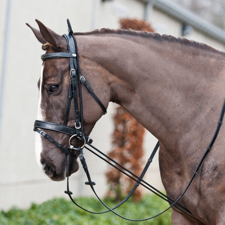 3m Horse Side Reins Elastic Equestrian Training Rope Reluova