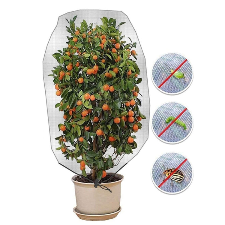 Plant Insect Cover Net With Drawstring Greenhouse Fruit Tree Bird Cover My Store