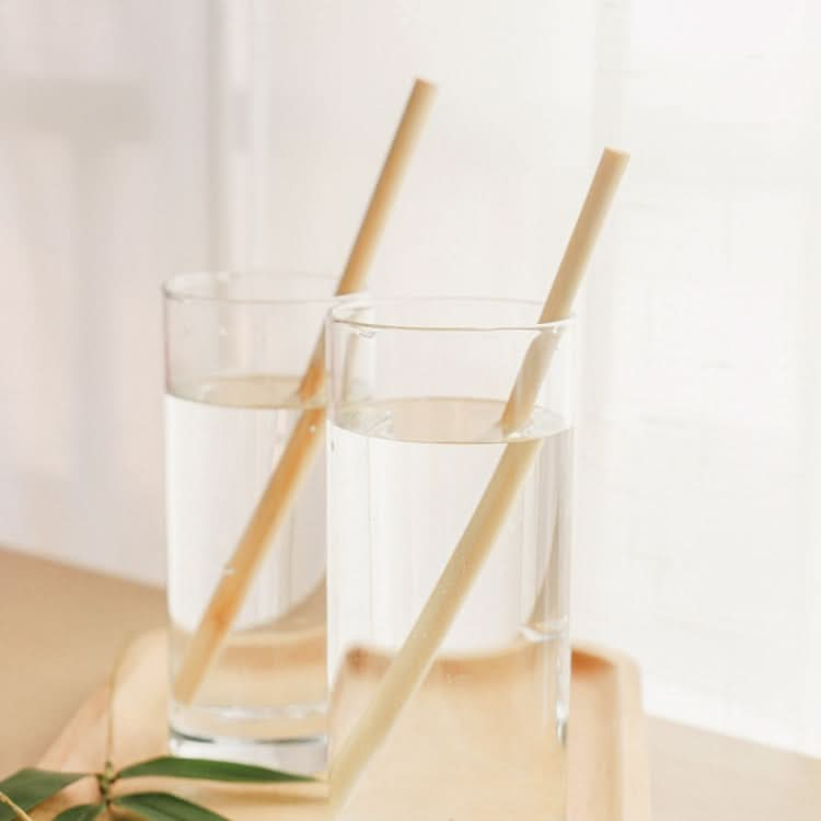 10 PCS Juice Coffee Pearl Milk Tea Natural Degradable Bamboo Straw, Style: