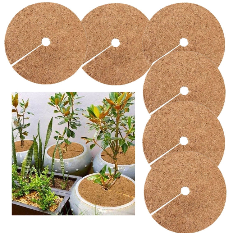 6 PCS/Set Plant Root Antifreeze Flowerpot Coconut Palm Flat Mat, Size:-Reluova