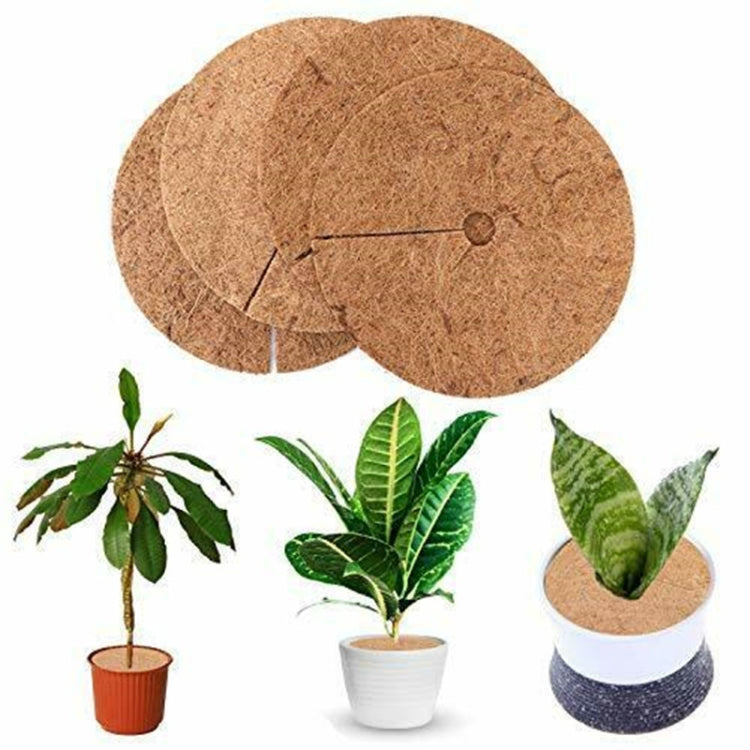 6 PCS/Set Plant Root Antifreeze Flowerpot Coconut Palm Flat Mat, Size:-Reluova