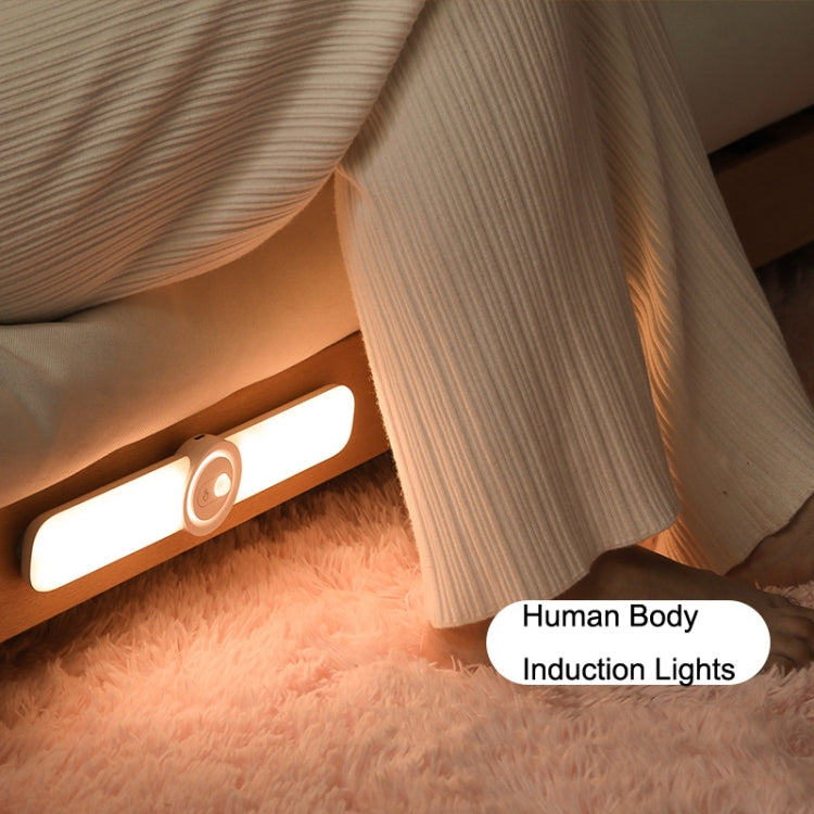 RD05 Smart Home Human Body Induction Cabinet Lights, Style: My Store