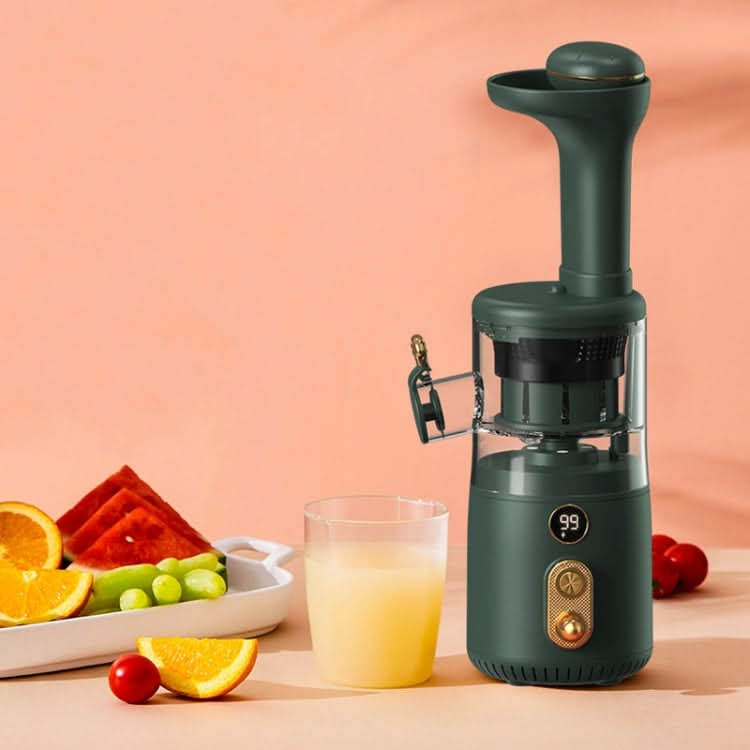 BP314 45W Squeeze Fruit Juicer Retro Small Juice Machine Reluova