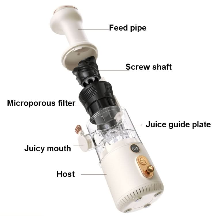 BP314 45W Squeeze Fruit Juicer Retro Small Juice Machine Reluova