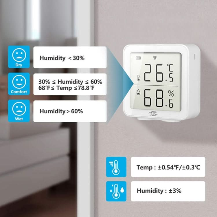 TY-191 Wireless Smart Digital Home Thermometer Reluova