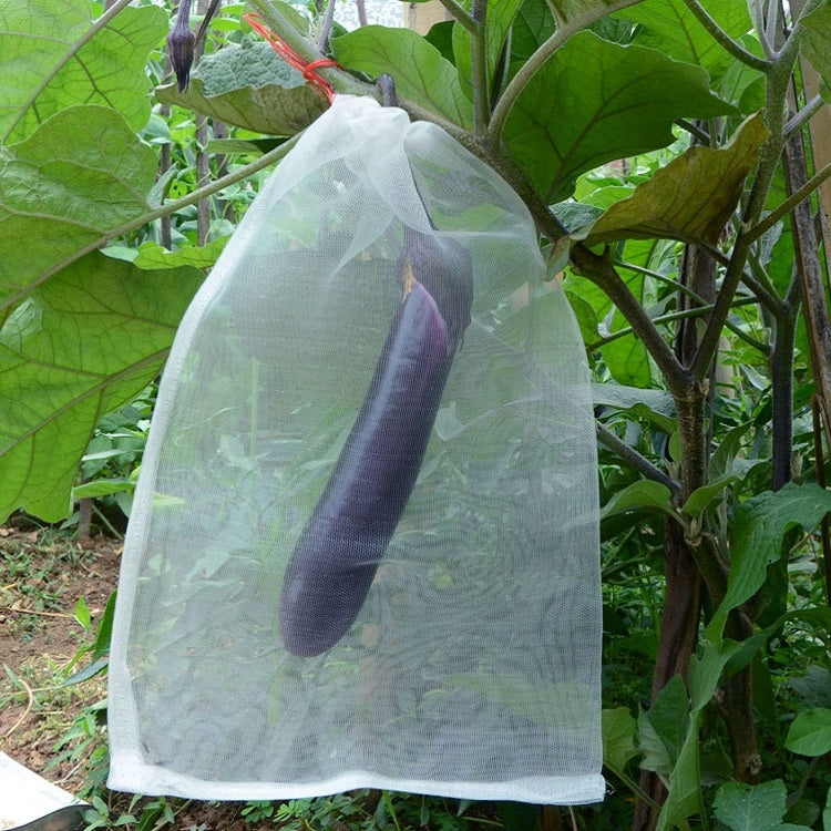 Fruit & Vegetable Insect-Proof And Bird-Proof Nylon Mesh Bag, Specification: 70x48cm My Store