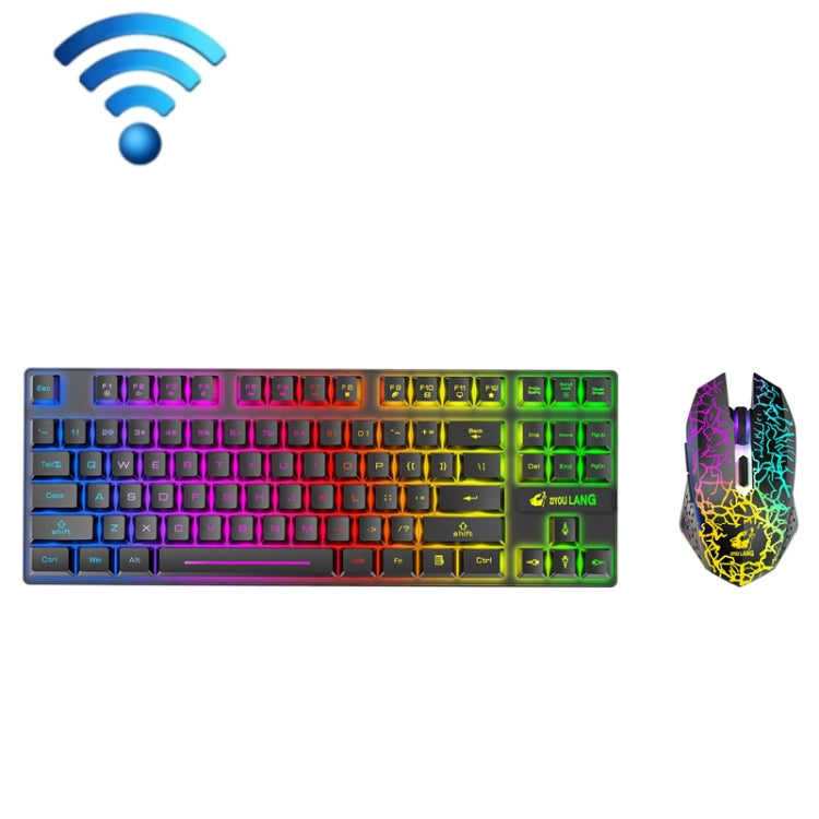 ZIYOU LANG T87 Gaming Luminous Wireless Keyboard and Mouse Set My Store