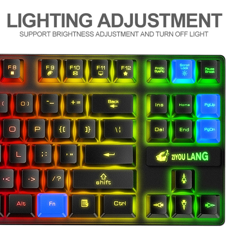 ZIYOU LANG T87 Gaming Luminous Wireless Keyboard and Mouse Set My Store