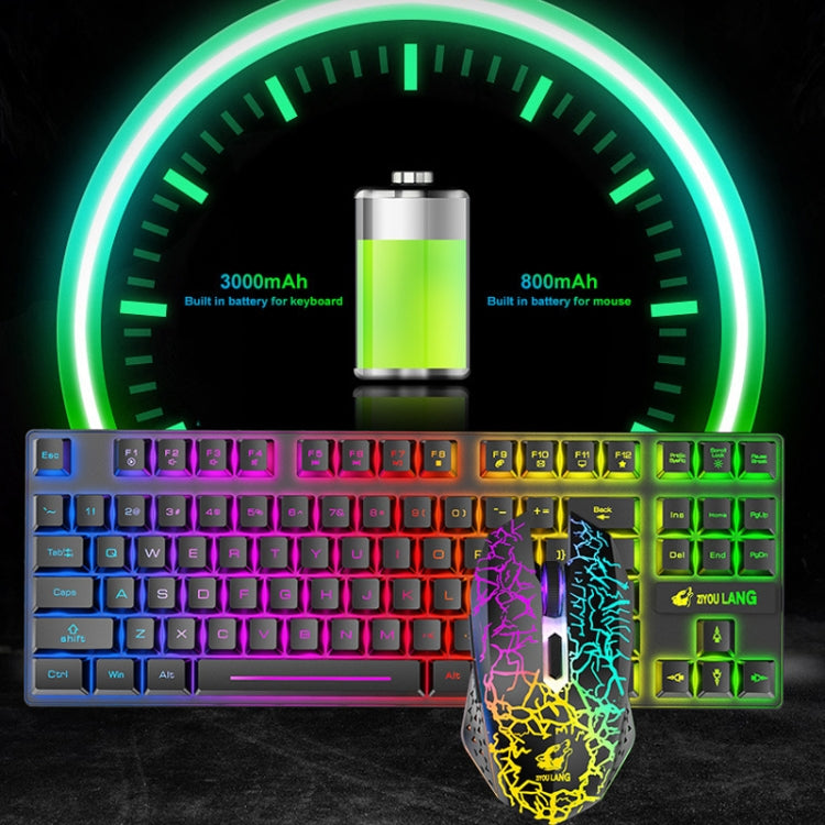 ZIYOU LANG T87 Gaming Luminous Wireless Keyboard and Mouse Set My Store