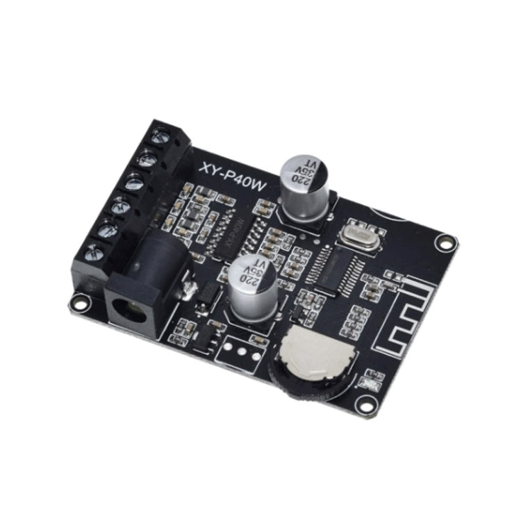 30W/40W Stereo Bluetooth Power Amplifier Plate 12V/24V High Power Digital Power Module-Reluova