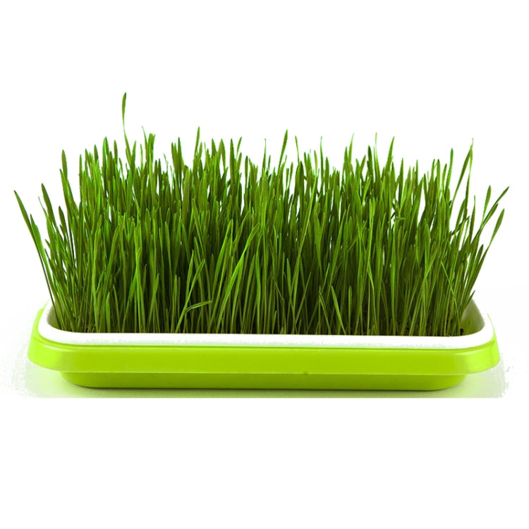 5 PCS Bean Sprout Germination Tray Soilless Culture Seedling Pot-Reluova