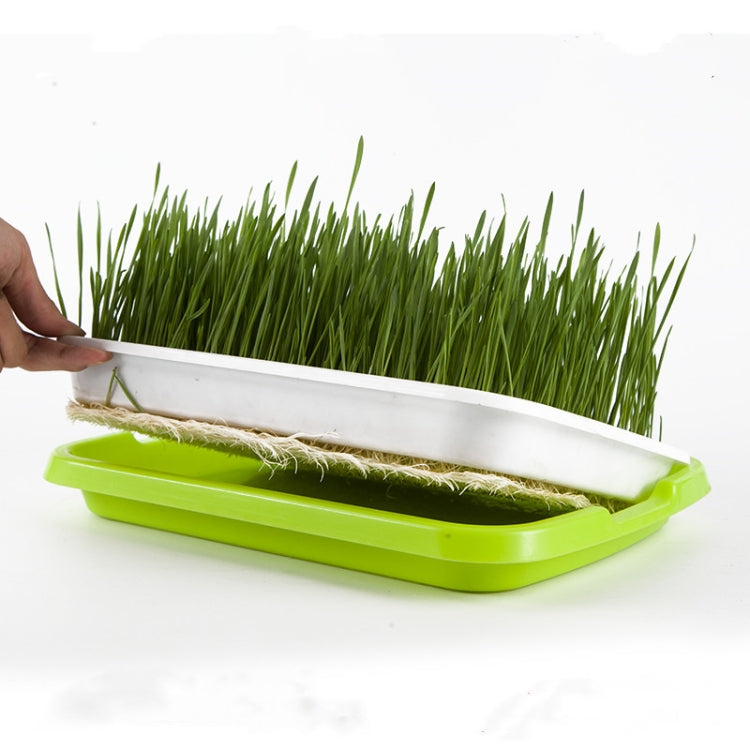 5 PCS Bean Sprout Germination Tray Soilless Culture Seedling Pot-Reluova