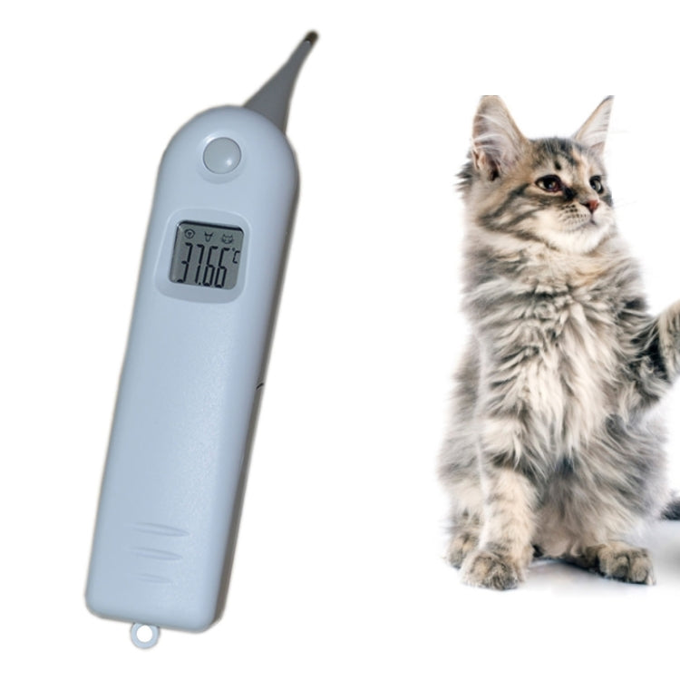 Large Screen Electronic Fast Veterinary Thermometer