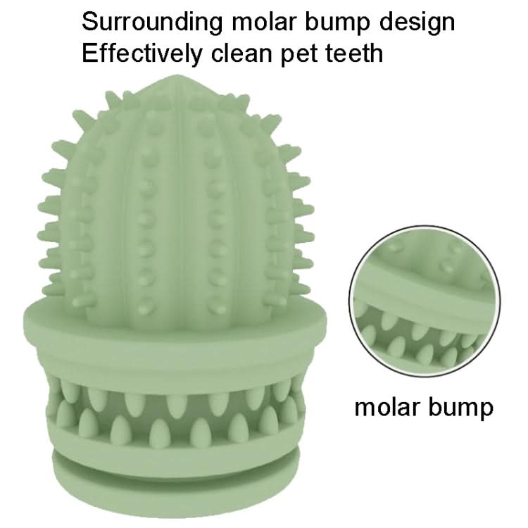 Pet Cleaning Teeth TPR Cactus Lightweight Bite-resistant Educational Toys - Reluova