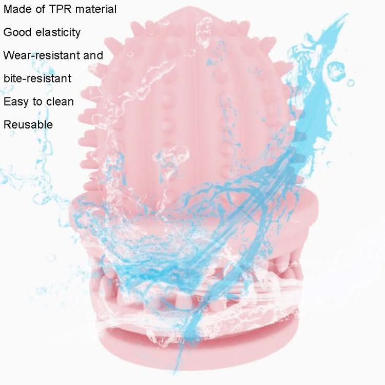 Pet Cleaning Teeth TPR Cactus Lightweight Bite-resistant Educational Toys - Reluova