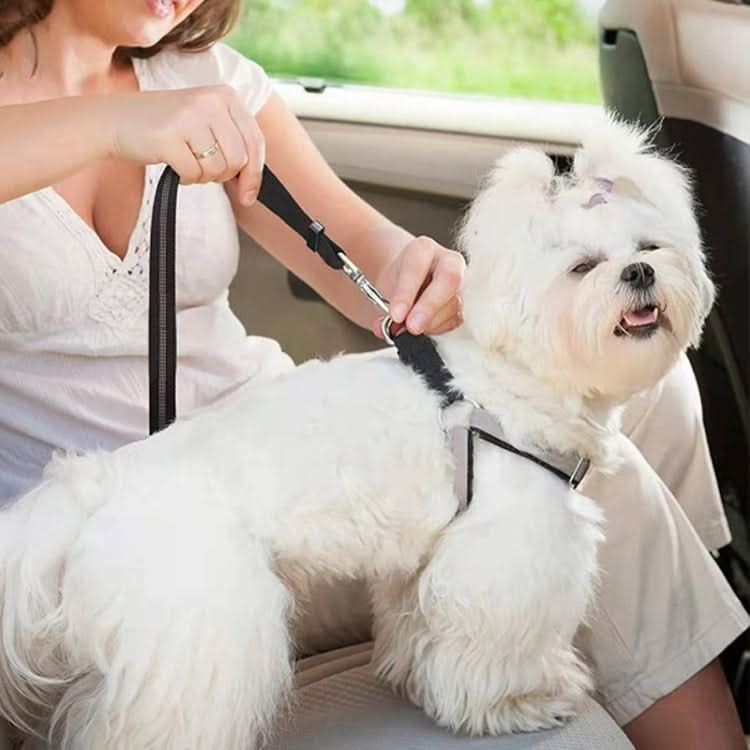 Elastic Reflective Car Dual-purpose Dog Leash - Reluova