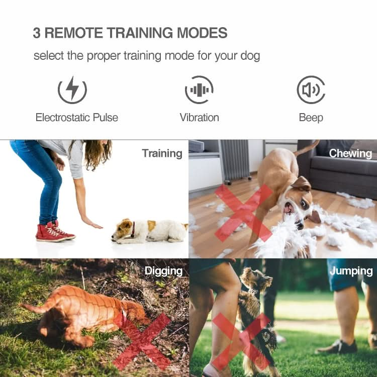 Intelligent Remote Control Dog Trainer Automatic Barking Stop Collar - Reluova