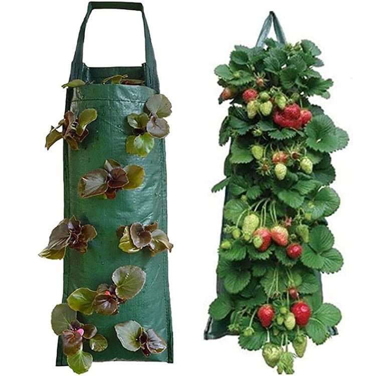 Multi-Port Grow Bags For Plant Strawberry Potato Hanging Planting Pots, Size: 10 Port