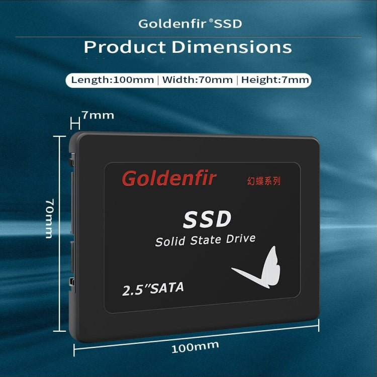 Goldenfir T650 Computer Solid State Drive, Flash Architecture: TLC