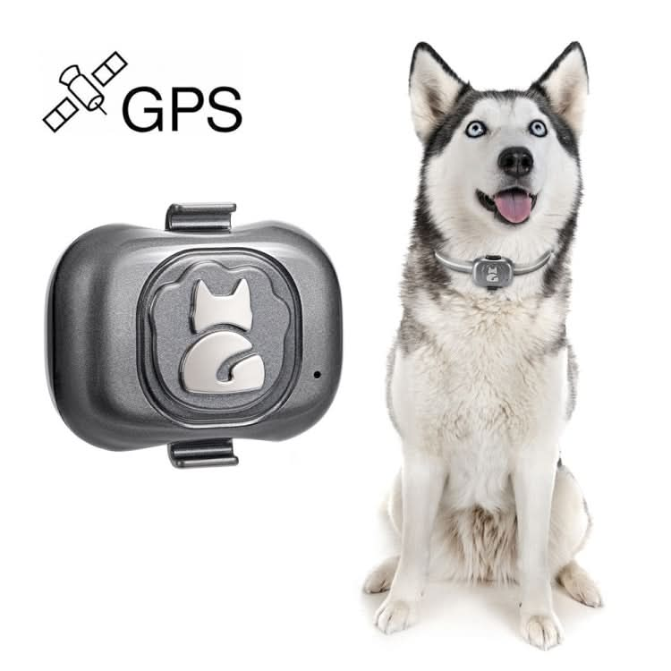 G16 Pets GPS Tracker IP67 Waterproof Smart Collar Anti-lost Tracking for Dog Cat - Reluova