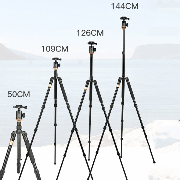 QingZhuangShiDai Q999S Portable Projector Photography Camera Live Gimbal Tripod Reluova