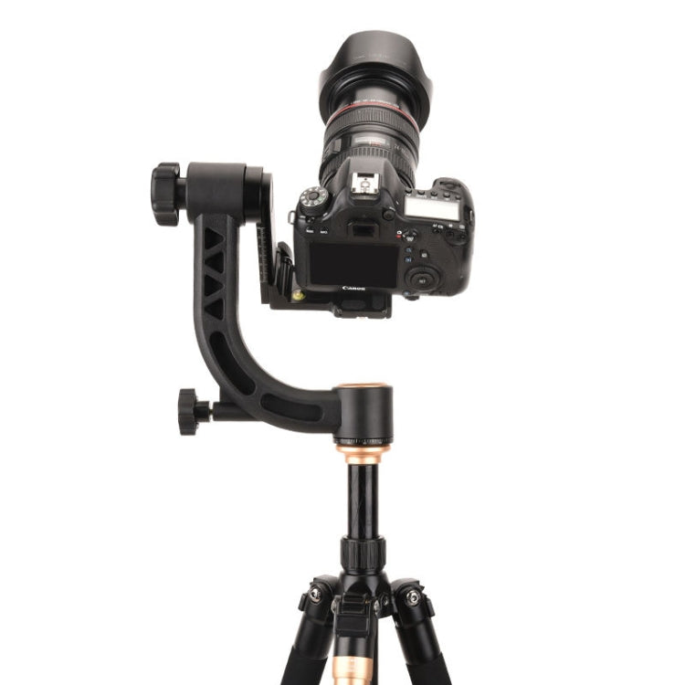 QingZhuangShiDai Q35 SLR Camera Telephoto Lens Bird Watching Tripod Head My Store