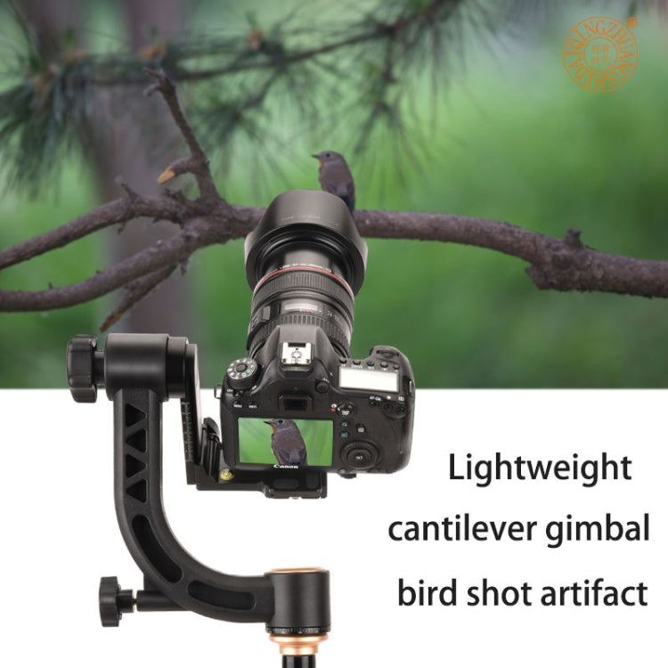 QingZhuangShiDai Q35 SLR Camera Telephoto Lens Bird Watching Tripod Head