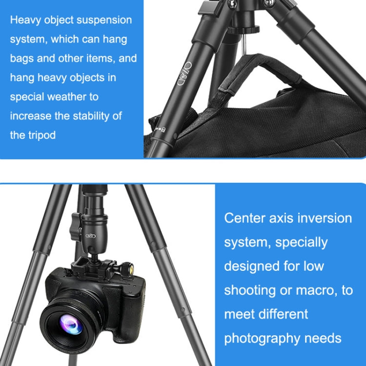 QingZhuangShiDai Q3110 Aluminum Mini Portable Desktop Action Camera Tripod My Store